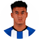 الهلال